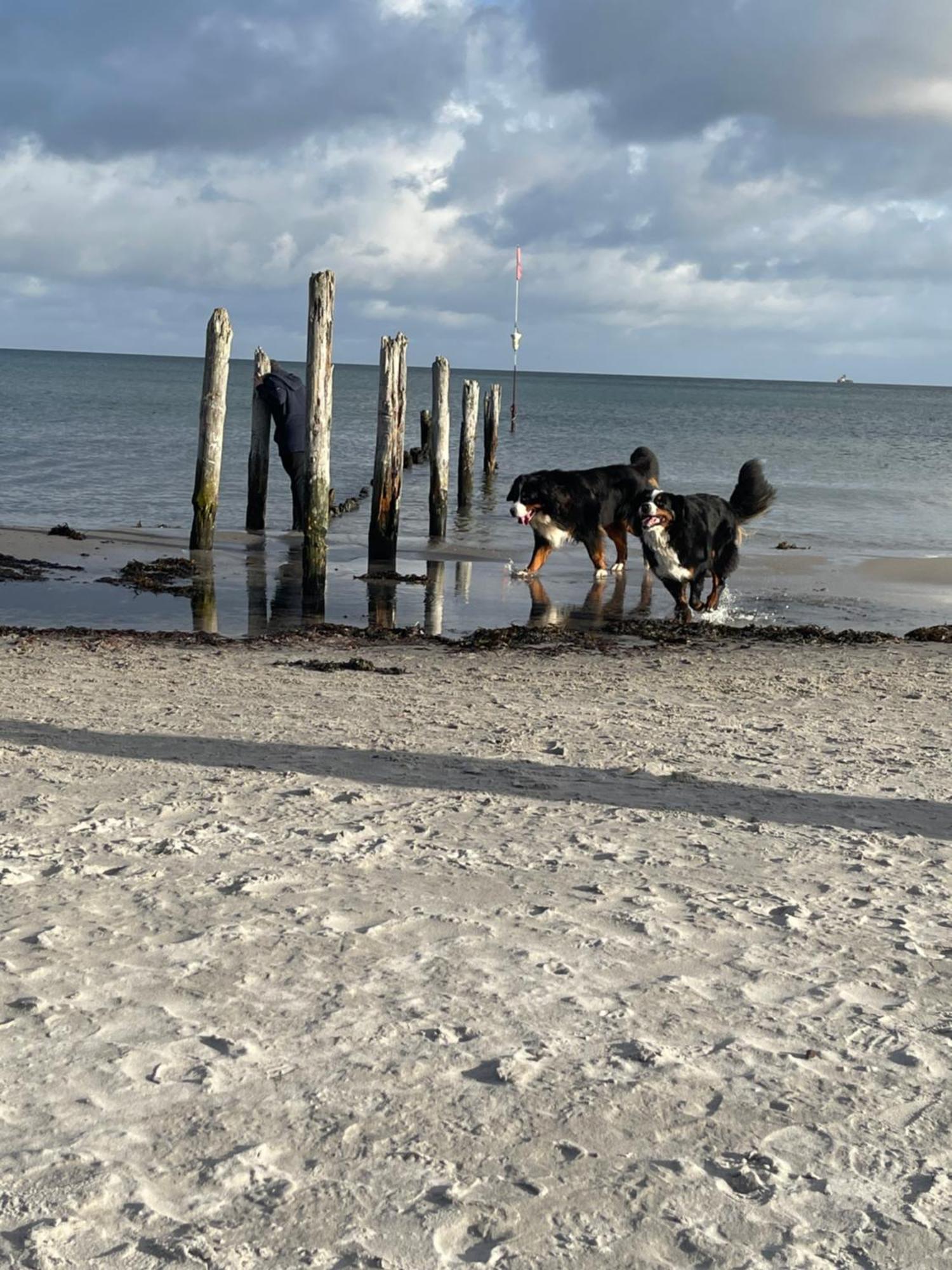 Ferienhaus Svante Glowe Bagian luar foto